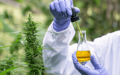 Third Party Testing for Peace of Mind